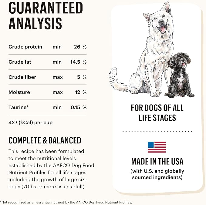 The Honest Kitchen Whole Food Clusters Grain Free Beef Dry Dog Food, 1 lb (Pack of 2)
