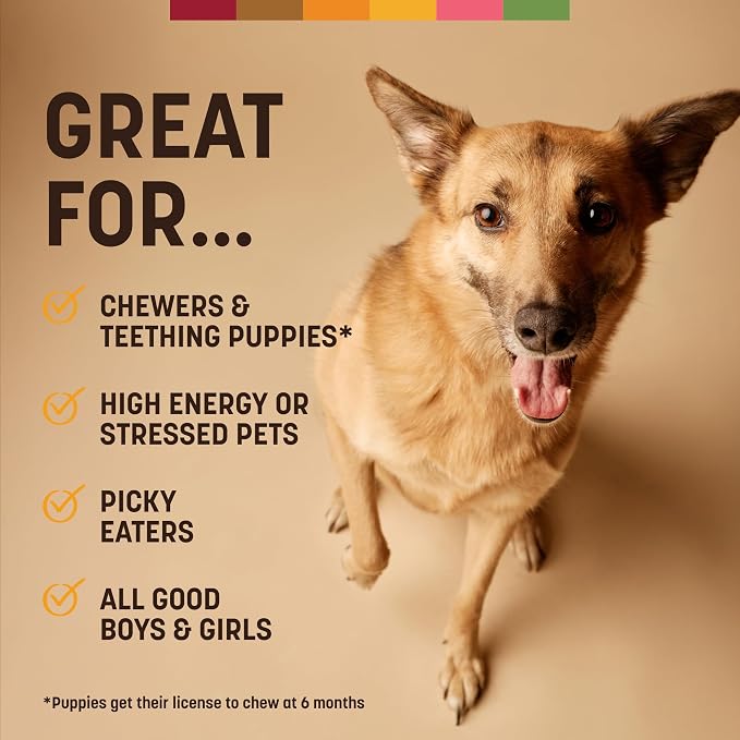 Earth Animal No Hide Dog Chews - Medium Rolls 3 Count Grilled Cheese | Medium Grilled Cheese Flavored Natural Rawhide Free Long Lasting Dog Chews - Treats for Medium Dogs and Aggressive Chewers