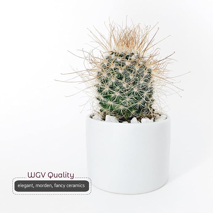 WGVI Matte White Ceramic Cylinder Vase Width 3.75" Height 4", Flower Arrangements, Candle Holder, Terrarium Planter Pot, Storage Container Organizer, Pen Brush Holder, Centerpieces, 1 Piece