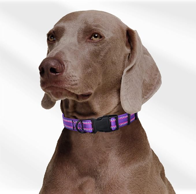 Mile High Life Reflective Dog Collar, Adjustable Lightweight Quick Release