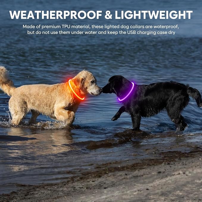 Light Up Dog Collars - Waterproof LED Dog Collar, Glow in The Dark Puppy Collar, TPU Cuttable Lighted Dog Collar for Small Medium Large Dogs (Purple)