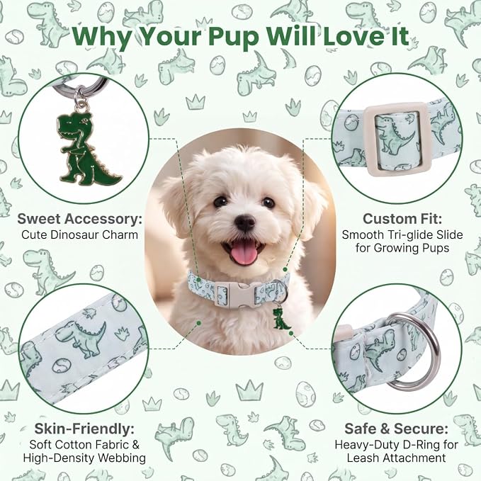 Dinosaur Dog Collar, Puppy Collar for Extra Small Dogs, XS