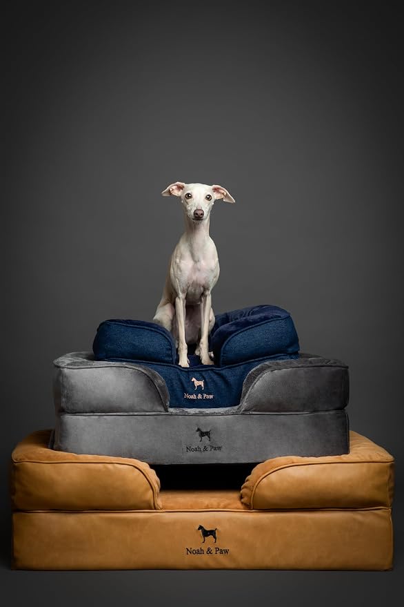 NOAH & PAW Large Dog Bed, 35x25x11 Inch, Orthopedic Dog Beds, Eggshell Memory Foam Infused with Cooling Gel, Inner Cover, Water Resistant, Machine Washable (Faux Leather)