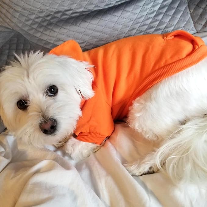 Soft Dog Hoodies for Small Dogs, Warm Fleece Puppy Clothes with Pocket | Jecikelon cold weather coat, cute puppy costume, breathable sweatshirt for dogs girl & boy, machine washable, easy on & off