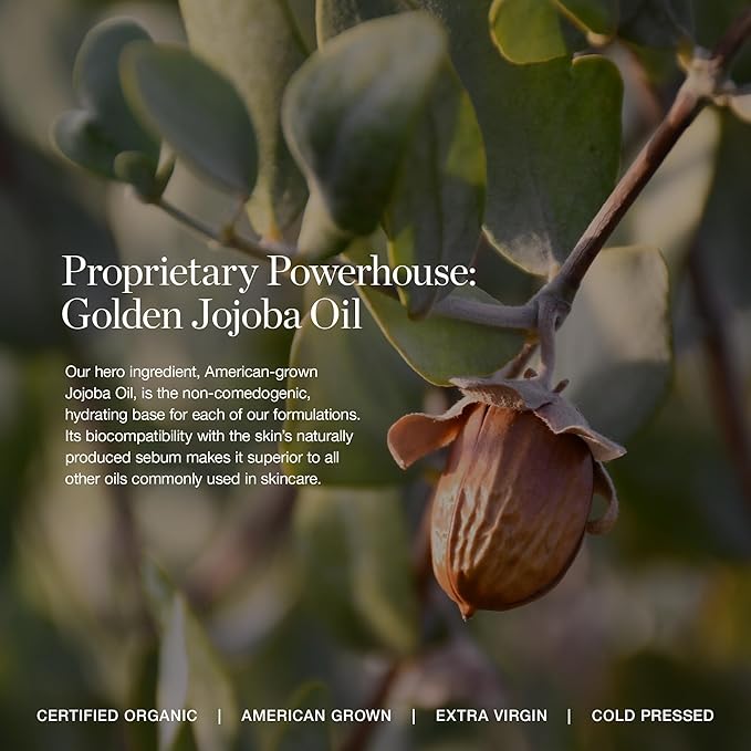 Ogee Complexion Perfecting Liquid Foundation - Lightweight Tinted Moisturizer For Face (Birch 0.25N - Fair, Neutral Undertones) - with Vitamin C & Jojoba Oil - Certified Organic & Made in USA