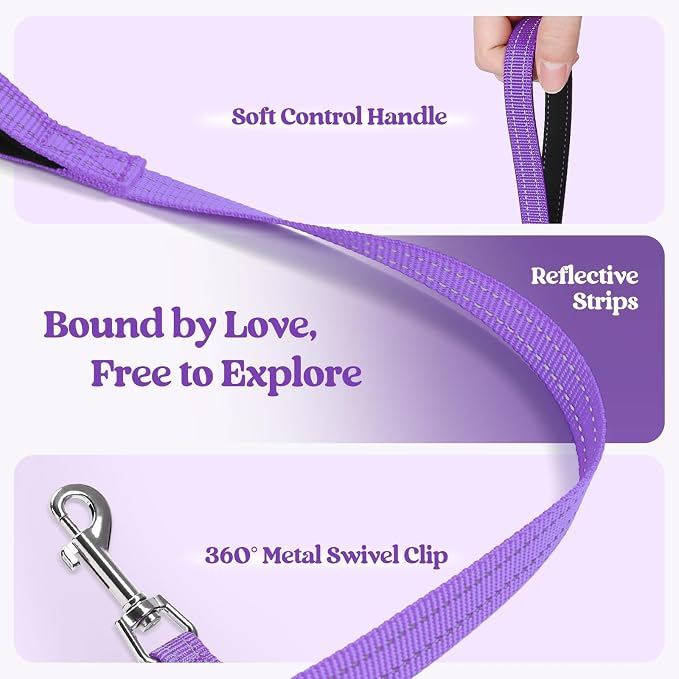 rabbitgoo Dog Harness Small Sized and Leash Set, Step-in Puppy Pet Vest | Light, Soft, Breathable Air Mesh, Easy on and Remove with Hook & Loop, Secure Reflective for Walking, Purple XXXS