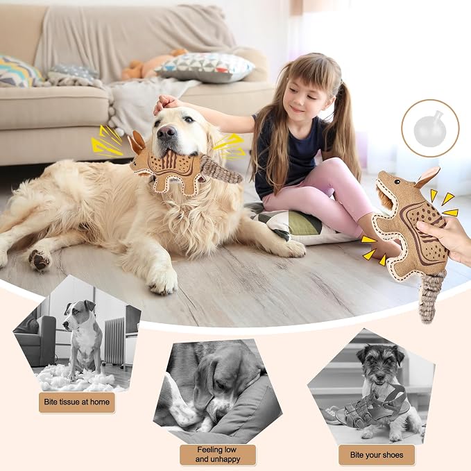 Tough Squeaky Dog Toys for Aggressive chewers Interactive to Keep Them Busy,Durable Funny Cute Tug of war Birthday for Small Medium Large (Armadillo)