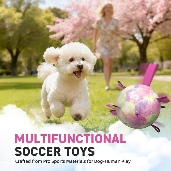 QDAN Dog Balls, Dog Soccer Ball with Straps,Puppy Girl Dog Toys, 6 Inch