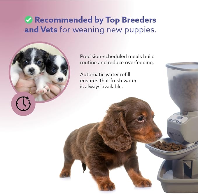 Feeding Friend® Automatic Dog & Cat Food Feeder with Water Dispenser, Portion Control, OLED Display, Anti-Jam Design, Battery Operated, for Pets 4–15 lb, Taupe