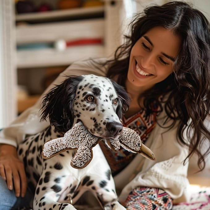 No Stuffing Dog Squeak Toys, Chew Toys for Small to Large Puppies(Platypus) | Durable Plush Puppy Teething Toys, Interactive to Keep Pets Busy, Toss Fetch Tug Play, Best Birthday Gift