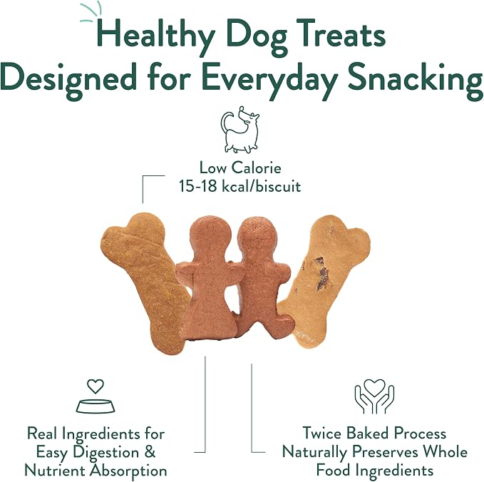Portland Pet Food Dog Treats Variety, Healthy, Grain-Free Biscuits, 3 Pack | Pumpkin, Gingerbread & Bacon, Human-Grade, Limited Ingredient, Natural Low Calorie Training Treats, Puppy to Senior, USA Made
