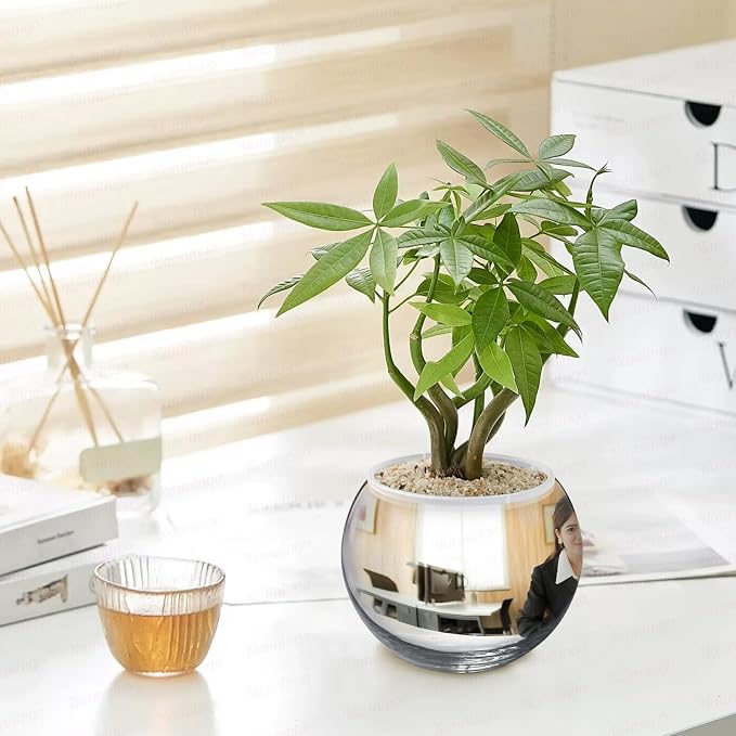 6" Spherical Convex Mirror Glass Bowl Vase - Safety Cubicle Reflector & Desktop Rearview Mirror to See Behind You for Office/Home Décor, Floral Arrangements, Planter Storage (Silver)
