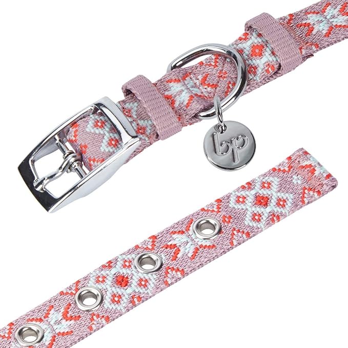 Blueberry Pet Southwestern Modern Tribal Print Thistle Braided Adjustable Dog Collar with Metal Buckle, Neck 13-16.5", for Medium Breed