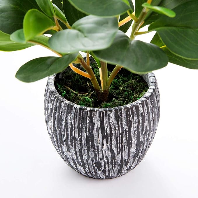 AlphaAcc Fake Faux Fiddle Leaf Fig Cement Planter Housewarming Desk Decor | Real looking and touching evergreen fiddle leaf fig with black cement planter ideal housewarming office desk home decor