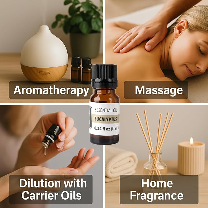 Eucalyptus Essential Oil – Fresh Camphoraceous Aroma Oil for Diffusers, Aromatherapy & Home Fragrance – Crisp Eucalyptus Scent – 0.34 fl oz (10 ml)