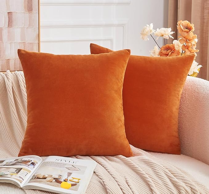 Throw Pillow Covers Set of 2 24x24 Inch Velvet Pillow Covers, Soft Burnt Orange Decorative Covers for Couch Sofa Bed Living Room, Neutral Farmhouse Covers