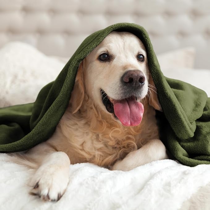 BEDELITE Fleece Blanket Soft Plush Twin Size Blanket Olive Green 60"x80" | Ultra Soft Fleece, Plush Microfiber, Lightweight Warmth, All Season Comfort, Fade Resistant, Machine Washable, Couch Sofa Bed
