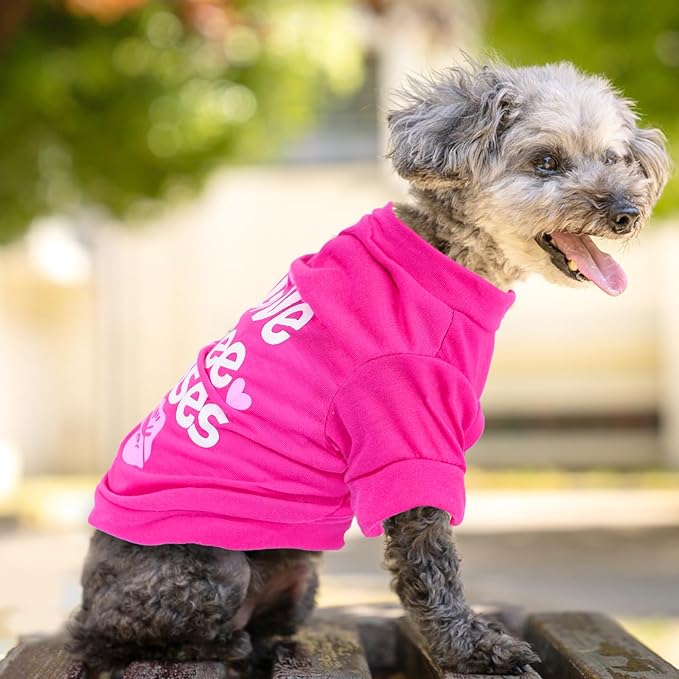 4 Pieces Dog Shirts Spring Summer Dog Clothes Cute Pattern Soft Breathable Outfit Pet T-Shirt Puppy Clothes for Small Dogs Girl and Cat (X-Small)