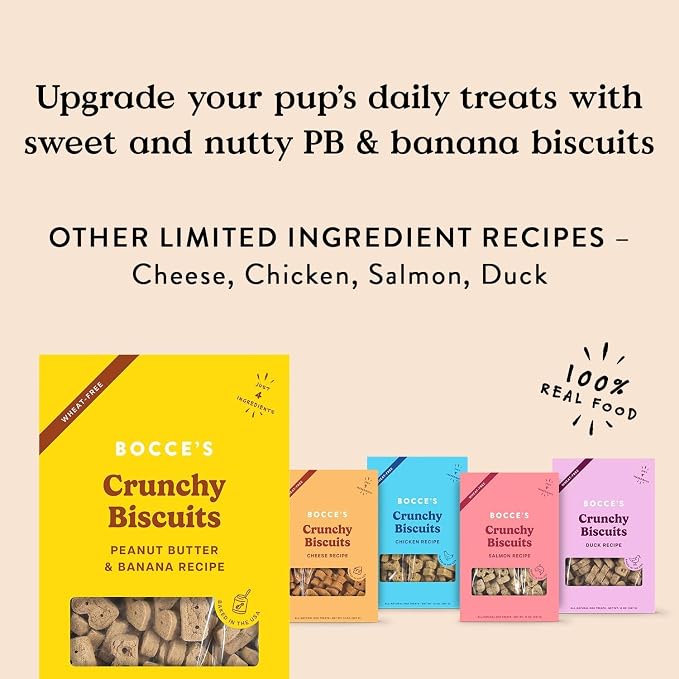 Bocce's Bakery PB & Banana Flavor Dog Biscuit Treats Bundle, 14 oz (2 Pack) | Oven Baked, Wheat-Free Everyday Dog Treat Biscuits - Made with Real, Limited Ingredients and Baked in The USA