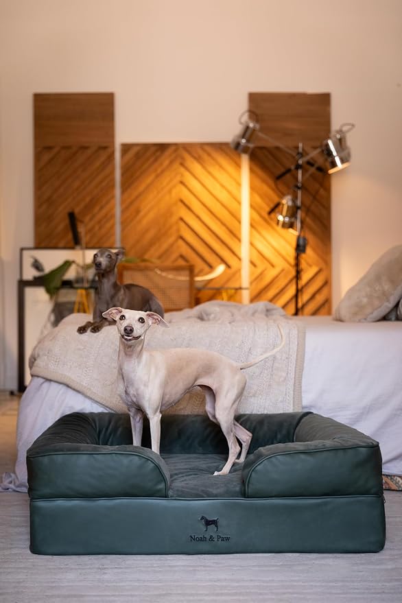 NOAH & PAW Large Dog Bed, 35x25x11 Inch, Orthopedic Dog Beds, Eggshell Memory Foam Infused with Cooling Gel, Inner Cover, Water Resistant, Machine Washable (Faux Leather)