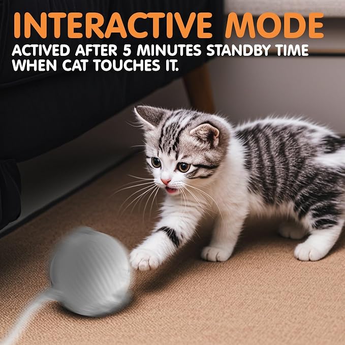 Rocfish Durable Interactive Cat Toys for Indoor Cats (Grey, 01)