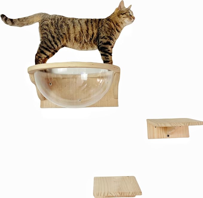 Cat Wall Shelves Wood for Large Cats,Wall Cat Bed Bubble House, Cat Wall Beds Furniture for Indoor Cats Large Size, Cat Perch Transparent Capsule Bed Cat Steps (Capsule Bed Set-1L)