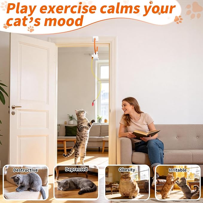 Interactive Cat Toys, Automatic Flying Bird Door Hanging Toy for Cats