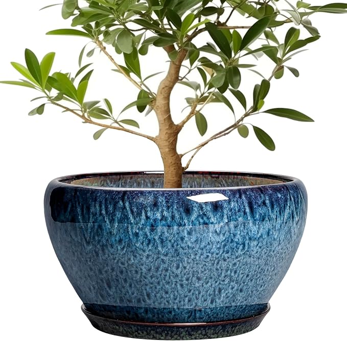 Ceramicfor Ceramic Plant Pots 13 Inch - Indoor Planter with Drainage Hole and Saucer, Decorative Large Planter for Indoor Outdoor Plants, Ceramic Flower Pots, Gifts for Plant Lovers, House Decor, Blue