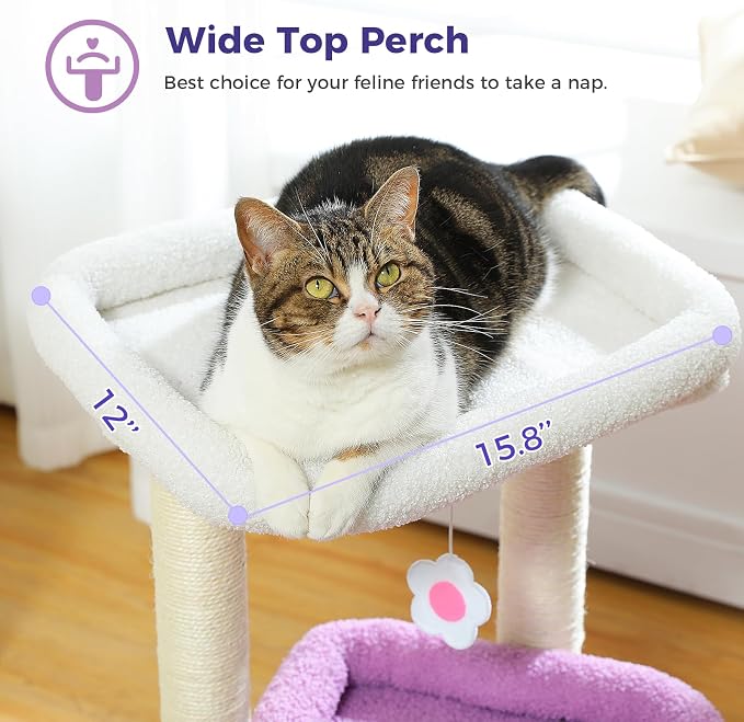 PEQULTI Indoor Cat Tree Tower Small Cats, Sisal Post & Cozy Condo, Purple | Private soft cat condo, soft top perch, natural sisal scratch posts, plush pom-pom toy for indoor kitties