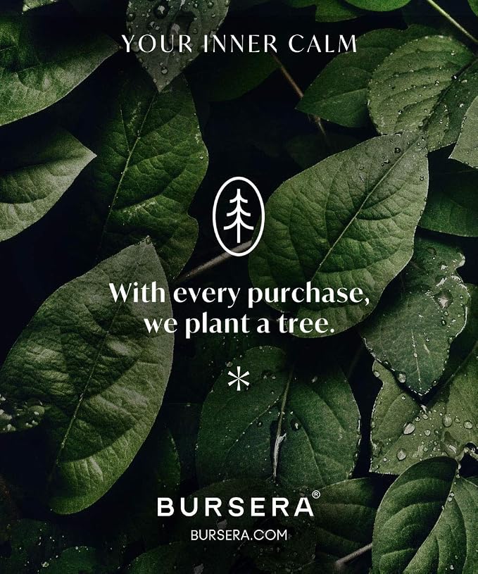 Bursera Eucalyptus Essential Oil, Tree Planted with Every Order, 100% Pure Eucalyptus Oil, 10ml Undiluted High Grade Natural Eucalyptus Oils for Diffuser, Shower, Skin and Aromatherapy