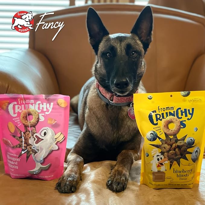 Fromm Crunchy O's Blueberry Blasts with Chicken Dog Treats, 26 oz