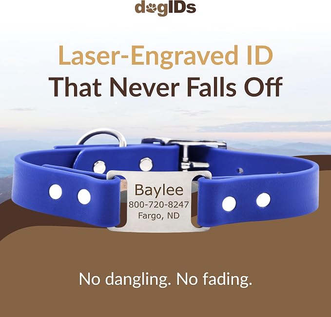 dogIDs Personalized Dog Collar – ScruffTag Custom Waterproof Biothane Dog Collar with Laser-Engraved Name, Durable & Odor-Resistant – USA Made | Blue, 3/4 in x 16 in (Fits Neck Sizes 14-18 in)