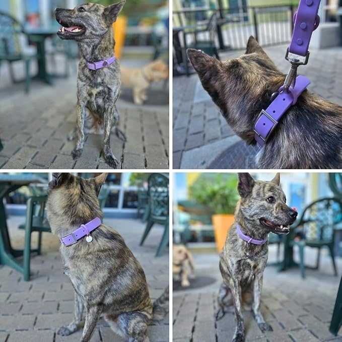 Waterproof Dog Collar, Soft Comfortable Pet Collars, Adjustable Odor Proof Heavy Duty Dog Collars Easy to Clean for Large, Medium Small Dogs by Bee N Buu (Purple, Small (length8-12, Width 3/4"))
