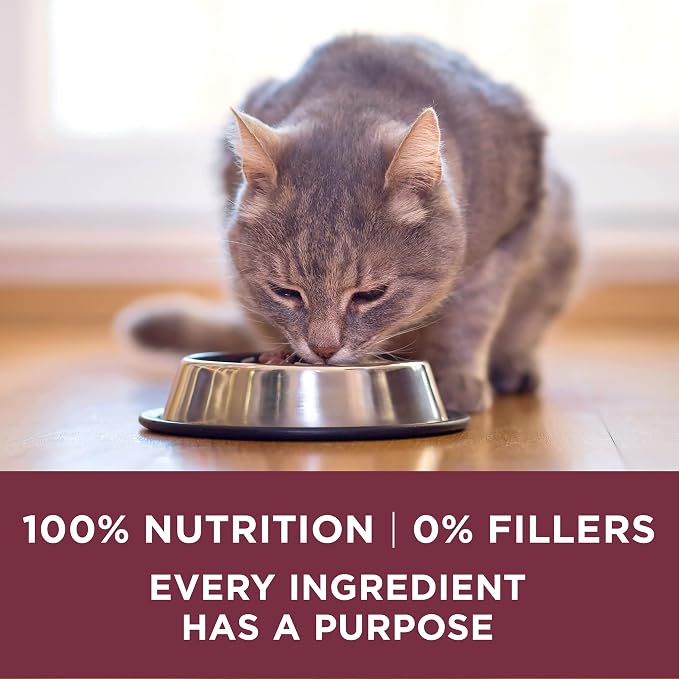 Purina ONE High Protein Urinary Tract Health Dry Cat Food, 7 lb Bag | Made with real chicken, no artificial flavors or colors. Low-magnesium formula balances pH and boosts immune defense