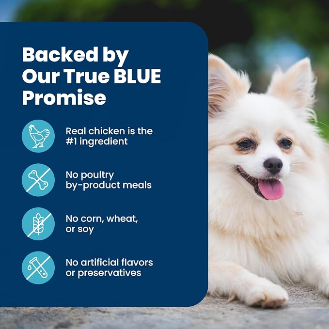 Blue Buffalo Life Protection Formula Chicken Small Senior Dog Food, 15 lb | Real Chicken #1 Ingredient, Glucosamine & Chondroitin for Joint Health & Mobility, Antioxidant-Rich LifeSource Bits