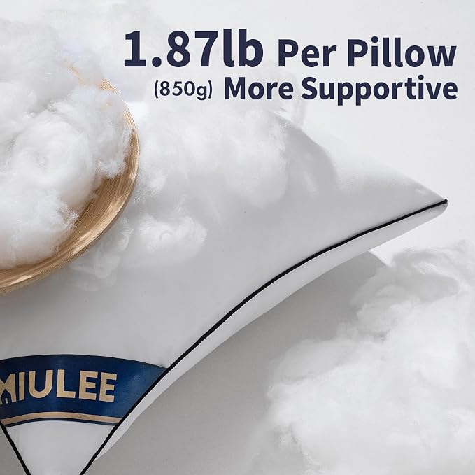 MIULEE 20x20 Pillow Inserts 2 Pack, Premium Down Alternative Throw Pillows | Down Alternative Pillow Inserts, Decorative Pillow Stuffer for Sofa, Couch (20x20 inch, Set of 2)