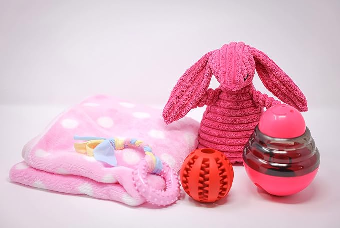 Puppy Starter Kit – 5pc Dog Toy Gift Set for Small Dogs – Blanket, Squeaky Plush, Teething Ring, Treat Ball – New Puppy Essentials Gift Box (Pink)