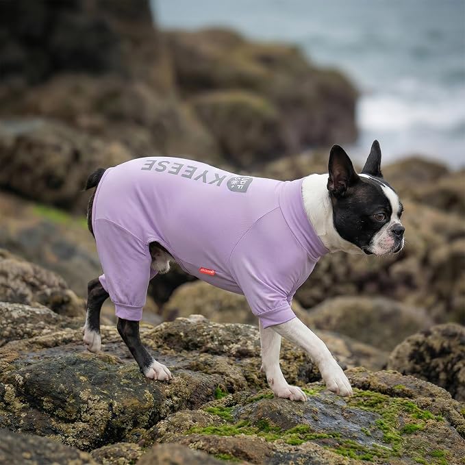 KYEESE UPF50+ Dog Sun Shirt for Small Dogs Cooling Onesie for UV Protection | Cooling Breathable Fabric, Reflective Design, Shedding Control, Skin-Friendly for Sensitive Dogs, Easy On/Off, Quick Dry