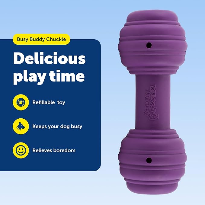 PetSafe Busy Buddy Chuckle Sound Dog Chew Toy - Treat Dispenser, BB-CHK, Purple