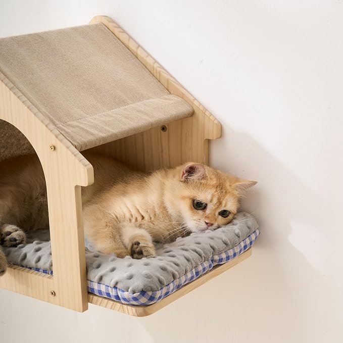 SHENGOCASE Natural Wood Cat Wall Shelves Bed, 2-Pack, Wall-Mounted Box Condo House Perch, Cat Condo Furniture with Washable Pillow Cushions