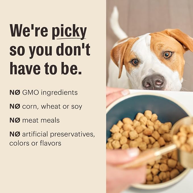 The Honest Kitchen Grain Free Lamb & Superfoods Gourmet Whole Food Clusters, Human Grade Dry Dog Food for Adult Dogs, Vet-Recommended Nutritional Support for Skin, Coat & Digestion, 4 lb Bag