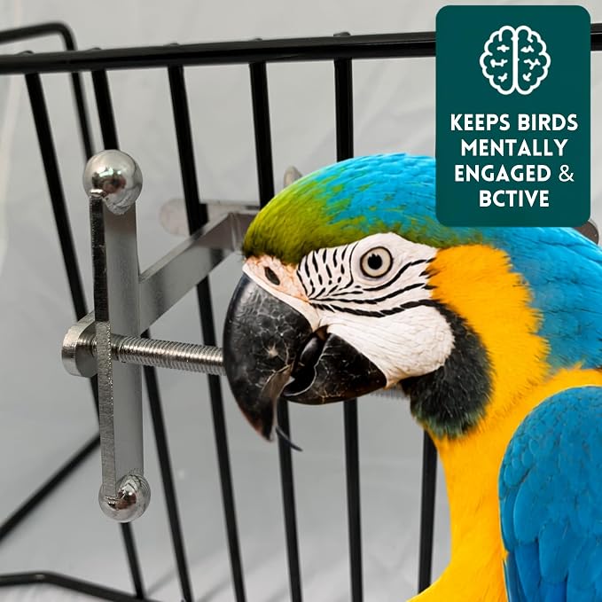 Bird Toys for Large Birds (Spinner) Stainless Steel Bird Toy with Traveling Spinner | Macaw Toys | Durable Puzzle Enrichment Toy for Medium to Large Birds Cockatoos Parrots | Bird Cage Accessories