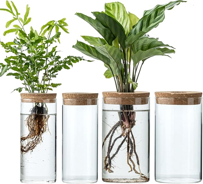 Propagation Vases for Plants, Set of 4(2 Large & 2 Small) Glass Plant Propagation Stations, Plant Propagation Jars for Home Office Windowsill Tabletop Decoration (4)