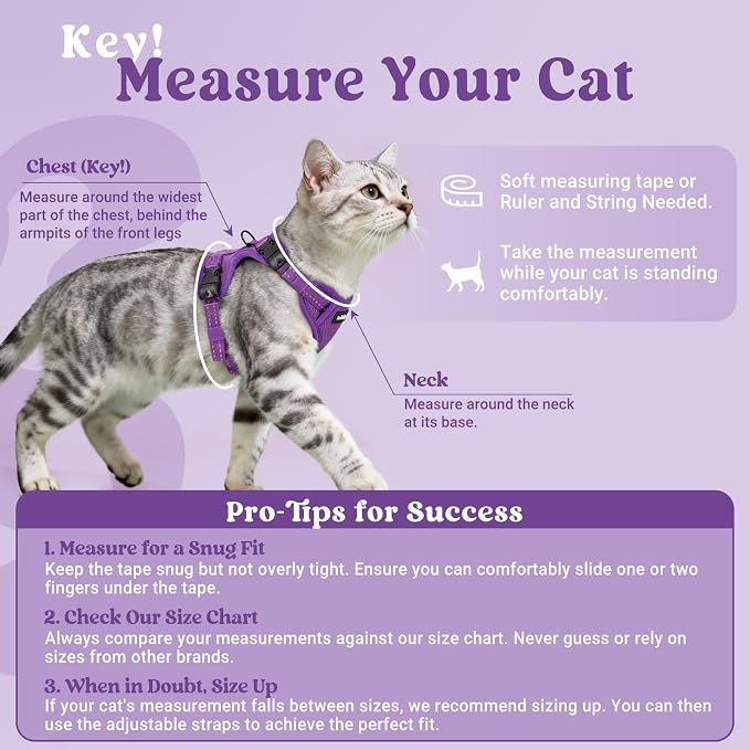 rabbitgoo Cat Harness and Leash, Easy-on with Neck Buckle, Purple