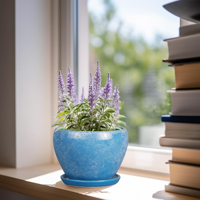 Ceramicfor 6 Inch Plant Pot - Ceramic Planter Pot with Drainage Hole and Saucer, Glaze Succulent Pot Modern Round Flower Pot for Indoor Plants, Blue