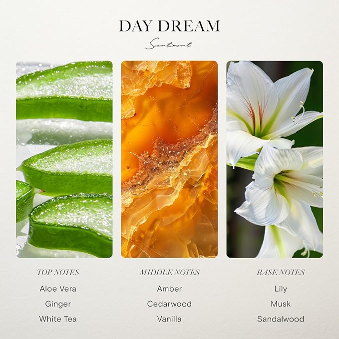Scentiment Diffuser Oil - Day Dream | Inspired by Luxury Five Star Hotel White Tea Scent | Aromatherapy Home Fragrance| Luxurious Scent with Notes of Aloe Vera, Cedar, White Tea (500 mL)