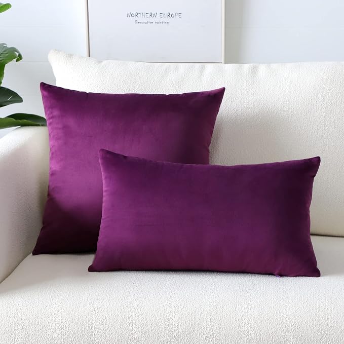 Artscope Luxury Velvet Pillow Covers Super Soft Decorative Square Throw Pillow Covers Case Cushion Covers for Sofa Couch Bedroom Car Decor 22x22 Inch Eggplant Purple