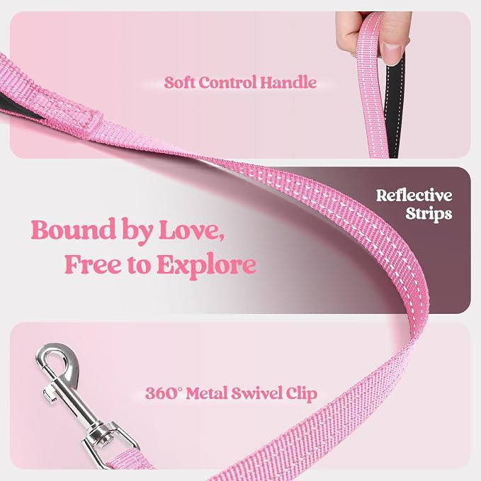 rabbitgoo Dog Harness Small Sized and Leash Set, Step-in Puppy Pet Vest | Light, Soft, Breathable Air Mesh, Easy on and Remove with Hook & Loop, Secure Reflective for Walking, Light Pink XXXS