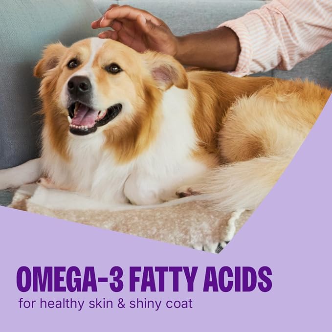 Wellness CORE Tiny Trainers Dog Treats, Natural, Grain Free, Turkey and Pomegranate Recipe, 6 oz Bag
