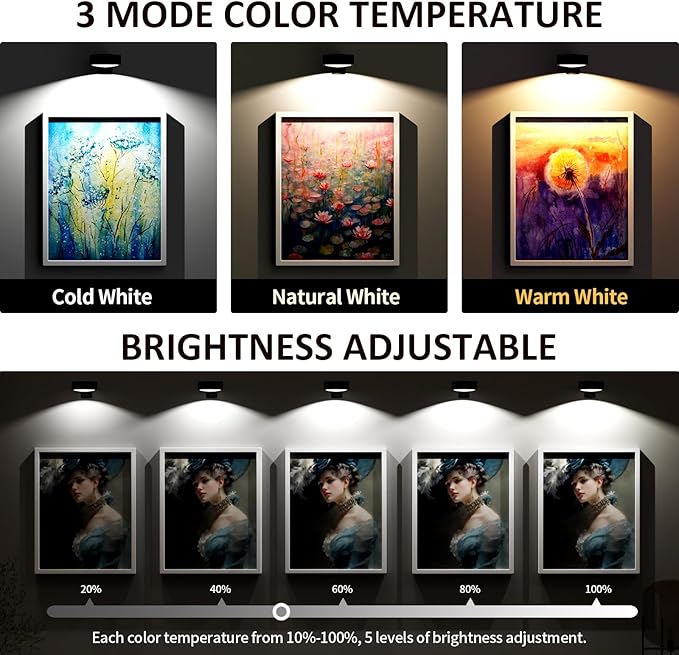 Tututry 3-Pack Battery Operated Picture Light, Magnetic Painting Light with Remote, Dimmable Timer & 3 Modes, Art Display Light for Wall Art, Picture Frame, Portrait, Canvas Decor (Black)